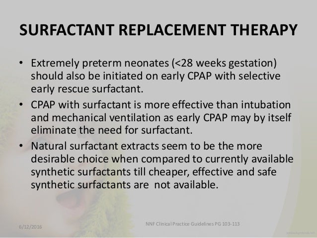 surfactant replacement therapy in the neonate Surfactant replacement therapy is an exciting and promising development in the care of preterm infants and has led us into a new era in neonatal nursing that holds many challenges as well as rewards. surfactant replacement therapy in the neonate Surfactant replacement therapy is an exciting and promising development in the care of preterm infants and has led us into a new era in neonatal nursing that holds many challenges as well as rewards.