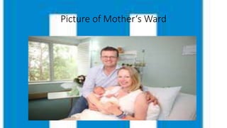 Picture of Mother‘s Ward
 