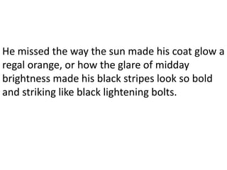 He missed the way the sun made his coat glow a
regal orange, or how the glare of midday
brightness made his black stripes look so bold
and striking like black lightening bolts.
 