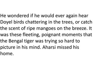 He wondered if he would ever again hear
Doyel birds chattering in the trees, or catch
the scent of ripe mangoes on the breeze. It
was these fleeting, poignant moments that
the Bengal tiger was trying so hard to
picture in his mind. Aharsi missed his
home.
 