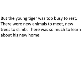 But the young tiger was too busy to rest.
There were new animals to meet, new
trees to climb. There was so much to learn
about his new home.
 