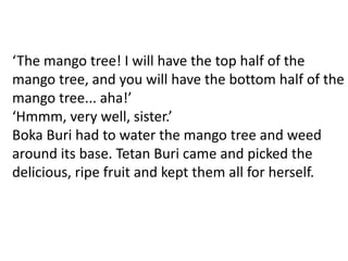 ‘The mango tree! I will have the top half of the
mango tree, and you will have the bottom half of the
mango tree... aha!’
‘Hmmm, very well, sister.’
Boka Buri had to water the mango tree and weed
around its base. Tetan Buri came and picked the
delicious, ripe fruit and kept them all for herself.
 