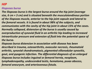 HIP
Iliopsoas bursa
The iliopsoas bursa is the largest bursa around the hip joint (average
size, 6 cm × 3 cm) and is situated beneath the musculotendinous portion
of the iliopsoas muscle, anterior to the hip joint capsule and lateral to
the femoral vessels. It is found in about 98% of the subjects, and
communicates with the cavity of the hip joint in about 15% of the cases.
Normally collapsed, distension of the bursa is usually caused by
overproduction of synovial fluid in an arthritic hip leading to increased
intraarticular pressure and extension of fluid into the potential space of
the bursa.
Iliopsoas bursa distension in association with disease has been
described in trauma, osteoarthritis, avascular necrosis, rheumatoid
arthritis, synovial chondromatosis, pigmented villonodular synovitis,
gout, and pyogenic infection. The differential diagnosis of an enlarged
iliopsoas bursa includes inguinal or femoral hernia, neoplasm,
lymphadenopathy, undescended testis, hematoma, psoas abscess,
femoral aneurysm, and arteriovenous fistula.
 