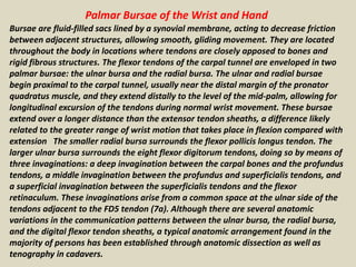 Palmar Bursae of the Wrist and Hand
Bursae are fluid-filled sacs lined by a synovial membrane, acting to decrease friction
between adjacent structures, allowing smooth, gliding movement. They are located
throughout the body in locations where tendons are closely apposed to bones and
rigid fibrous structures. The flexor tendons of the carpal tunnel are enveloped in two
palmar bursae: the ulnar bursa and the radial bursa. The ulnar and radial bursae
begin proximal to the carpal tunnel, usually near the distal margin of the pronator
quadratus muscle, and they extend distally to the level of the mid-palm, allowing for
longitudinal excursion of the tendons during normal wrist movement. These bursae
extend over a longer distance than the extensor tendon sheaths, a difference likely
related to the greater range of wrist motion that takes place in flexion compared with
extension The smaller radial bursa surrounds the flexor pollicis longus tendon. The
larger ulnar bursa surrounds the eight flexor digitorum tendons, doing so by means of
three invaginations: a deep invagination between the carpal bones and the profundus
tendons, a middle invagination between the profundus and superficialis tendons, and
a superficial invagination between the superficialis tendons and the flexor
retinaculum. These invaginations arise from a common space at the ulnar side of the
tendons adjacent to the FD5 tendon (7a). Although there are several anatomic
variations in the communication patterns between the ulnar bursa, the radial bursa,
and the digital flexor tendon sheaths, a typical anatomic arrangement found in the
majority of persons has been established through anatomic dissection as well as
tenography in cadavers.
 
