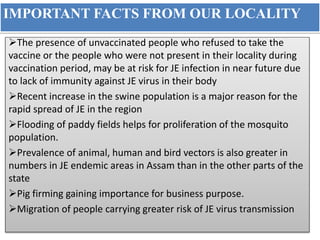 IMPORTANT FACTS FROM OUR LOCALITY
The presence of unvaccinated people who refused to take the
vaccine or the people who were not present in their locality during
vaccination period, may be at risk for JE infection in near future due
to lack of immunity against JE virus in their body
Recent increase in the swine population is a major reason for the
rapid spread of JE in the region
Flooding of paddy fields helps for proliferation of the mosquito
population.
Prevalence of animal, human and bird vectors is also greater in
numbers in JE endemic areas in Assam than in the other parts of the
state
Pig firming gaining importance for business purpose.
Migration of people carrying greater risk of JE virus transmission
 