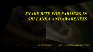 SNAKE BITE FOR FARMERS IN
SRI LANKA AND AWARENESS
PRESENTED BY : CRC 29 –ANURADHAPURA CENTER
 