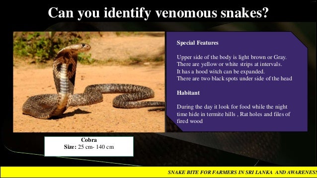 SNAKE BITES IN SRI LANKA
