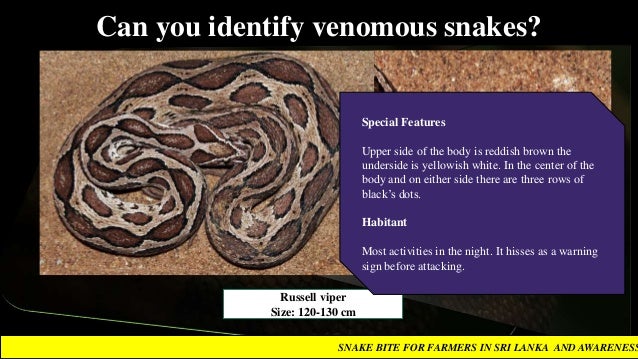 SNAKE BITES IN SRI LANKA