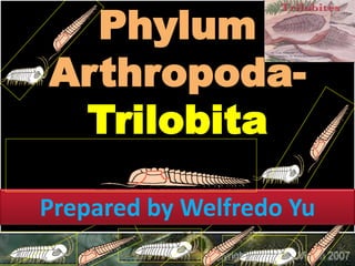 Phylum
Arthropoda-
Trilobita
Prepared by Welfredo Yu
 