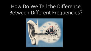 How Do We Tell the Difference
Between Different Frequencies?
 
