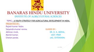 BANARAS HINDU UNIVERSITY
INSTITUTE OF AGRICULTURAL SCIENCES.
TOPIC:- A YOUTH STRATEGY FOR AGRICULTURAL DEVELOPMENT IN INDIA.
PRESENTED BY:-
Rajesh kumar Yadav.
Satyendra kumar verma. GUIDED BY:-
Abhinav vivek. DR. D. K. MEENA,
Manish kumar. ASST. PROF.
Chetan panda. (AG. EXTENSION)
8/11/2016 1
 