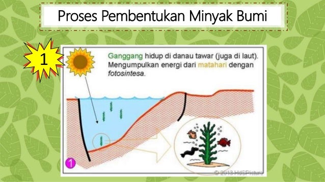 Pembentukan Minyak Bumi