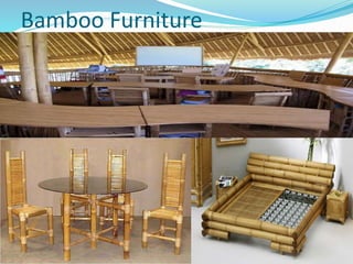 Bamboo Furniture
 