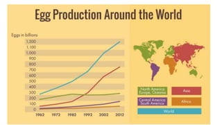 Egg Production Around the World