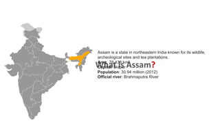 What is Assam?
Assam is a state in northeastern India known for its wildlife,
archeological sites and tea plantations.
Area: 78,438 km²
Capital: Dispur
Population: 30.94 million (2012)
Official river: Brahmaputra River
 