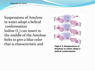 Suspensions of Amylose
in water adopt a helical
conformation
Iodine (I2) can insert in
the middle of the Amylose
helix to give a blue color
that is characteristic and Figure 3: Suspensions of
Amylose in water adopt a
helical conformation
diagnostic for starch
 