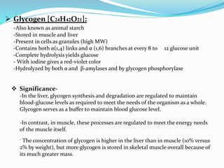  Glycogen [C24H42O21]:
-Also known as animal starch
-Stored in muscle and liver
-Present in cells as granules (high MW)
-Contains both α(1,4) links and α (1,6) branches at every 8 to 12 glucose unit
-Complete hydrolysis yields glucose
- With iodine gives a red-violet color
-Hydrolyzed by both α and β-amylases and by glycogen phosphorylase
 Significance-
-In the liver, glycogen synthesis and degradation are regulated to maintain
blood-glucose levels as required to meet the needs of the organism as a whole.
Glycogen serves as a buffer to maintain blood glucose level.
-In contrast, in muscle, these processes are regulated to meet the energy needs
of the muscle itself.
- The concentration of glycogen is higher in the liver than in muscle (10% versus
2% by weight), but more glycogen is stored in skeletal muscle overall because of
its much greater mass.
 