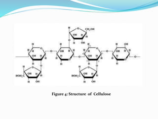 Figure 4: Structure of Cellulose
 