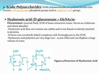 3. Acidic Polysaccharides: Acidic polysaccharides are polysaccharides that
contain carboxyl groups, phosphate groups and/or sulphuric ester groups
Hyaluronic acid (D-glucuronate + GlcNAc)n-
Occurrence: synovial fluid, ECM of loose connective tissue. Serves as a lubricant
and shock absorber.
-Hyaluronic acid does not contain any sulfate and is not found covalently attached
to proteins.
-It forms non-covalently linked complexes with Proteoglycans in the ECM.
-Hyaluronic acid polymers are very large (100 - 10,000 kDa) and can displace a large
volume of water.
Figure 9 Structure of Hyaluronic Acid
 