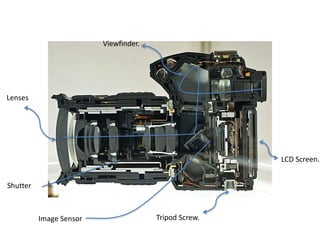 Lenses
Viewfinder.
LCD Screen.
Tripod Screw.Image Sensor
Shutter
 