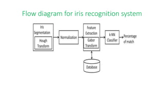 Flow diagram for iris recognition system
 