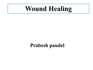 Prabesh paudel
Wound Healing
 