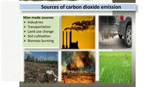 Sources of carbon dioxide emission
Man made sources
 Industries
 Transportation
 Land use change
 Soil cultivation
 B...