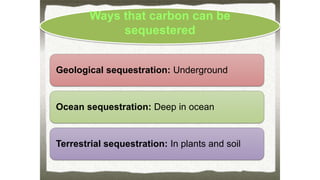 Geological sequestration
Carbon extracted
from a coal or other
fossil fuel…
is currently burned and
emitted to air
• >CO2 ...