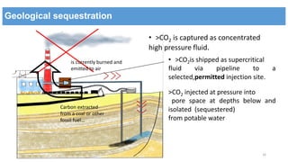 climate change and greenhouse gases ,carbon sequestration, | PPTX