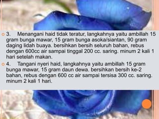  3. Menangani haid tidak teratur, langkahnya yaitu ambillah 15
gram bunga mawar, 15 gram bunga asoka/siantan, 90 gram
daging lidah buaya. bersihkan bersih seluruh bahan, rebus
dengan 600cc air sampai tinggal 200 cc. saring. minum 2 kali 1
hari setelah makan.
 4. Tangani nyeri haid, langkahnya yaitu ambillah 15 gram
bunga mawar, 15 gram daun dewa. bersihkan bersih ke-2
bahan, rebus dengan 600 cc air sampai tersisa 300 cc. saring.
minum 2 kali 1 hari.
 