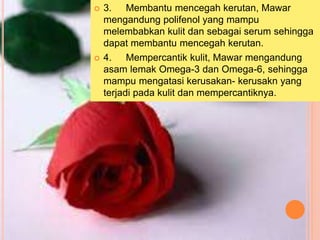  3. Membantu mencegah kerutan, Mawar
mengandung polifenol yang mampu
melembabkan kulit dan sebagai serum sehingga
dapat membantu mencegah kerutan.
 4. Mempercantik kulit, Mawar mengandung
asam lemak Omega-3 dan Omega-6, sehingga
mampu mengatasi kerusakan- kerusakn yang
terjadi pada kulit dan mempercantiknya.
 