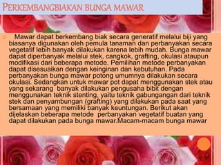 PERKEMBANGBIAKAN BUNGA MAWAR
 Mawar dapat berkembang biak secara generatif melalui biji yang
biasanya digunakan oleh pemula tanaman dan perbanyakan secara
vegetatif lebih banyak dilakukan karena lebih mudah. Bunga mawar
dapat diperbanyak melalui stek, cangkok, grafting, okulasi ataupun
modifikasi dari beberapa metode. Pemilihan metode perbanyakan
dapat disesuaikan dengan keinginan dan kebutuhan. Pada
perbanyakan bunga mawar potong umumnya dilakukan secara
okulasi. Sedangkan untuk mawar pot dapat menggunakan stek atau
yang sekarang banyak dilakukan pengusaha bibit dengan
menggunakan teknik stenting, yaitu teknik gabungangan dari teknik
stek dan penyambungan (grafting) yang dilakukan pada saat yang
bersamaan yang memiliki banyak keuntungan. Berikut akan
dijelaskan beberapa metode perbanyakan vegetatif buatan yang
dapat dilakukan pada bunga mawar.Macam-macam bunga mawar
 