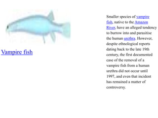 Presentation1.pptx diveristy in fishes