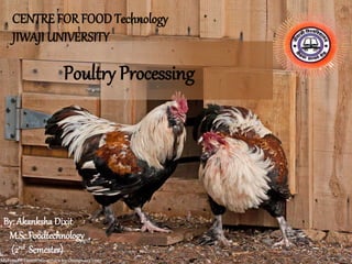 Poultry Processing
CENTRE FOR FOODTechnology
JIWAJI UNIVERSITY
By: Akanksha Dixit
M.Sc.Foodtechnology
(2nd Semester)
 