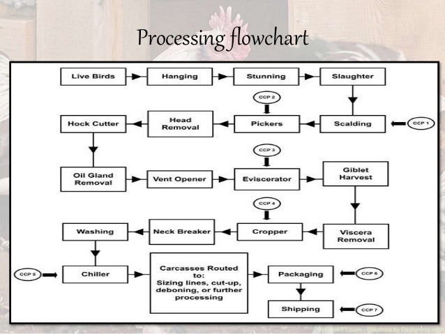 Poultry Classification Chart