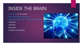 INSIDE THE BRAIN
FUNCTIONS OF THE BRAIN
PERCEPTION AND SENSATION
SIGNALING (REACTING TO THE ENVIRONMENT)
THINKING
EMOTION
BEHAVIOR
PHYSICAL OR SOMATIC
 