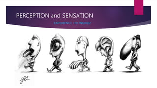 PERCEPTION and SENSATION
EXPERIENCE THE WORLD
 