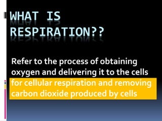 WHAT IS
RESPIRATION??
Refer to the process of obtaining
oxygen and delivering it to the cells
for cellular respiration and removing
carbon dioxide produced by cells
 