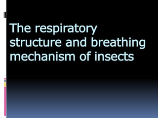 The respiratory
structure and breathing
mechanism of insects
 