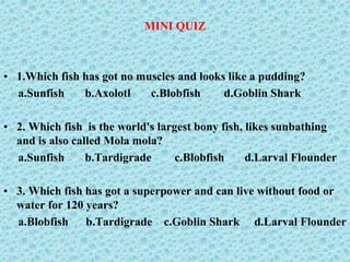 MINI QUIZ
• 1.Which fish has got no muscles and looks like a pudding?
a.Sunfish b.Axolotl c.Blobfish d.Goblin Shark
• 2. Which fish is the world's largest bony fish, likes sunbathing
and is also called Mola mola?
a.Sunfish b.Tardigrade c.Blobfish d.Larval Flounder
• 3. Which fish has got a superpower and can live without food or
water for 120 years?
a.Blobfish b.Tardigrade c.Goblin Shark d.Larval Flounder
 