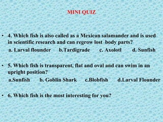 MINI QUIZ
• 4. Which fish is also called as a Mexican salamander and is used
in scientific research and can regrow lost body parts?
a. Larval flounder b.Tardigrade c. Axolotl d. Sunfish
• 5. Which fish is transparent, flat and oval and can swim in an
upright position?
a.Sunfish b. Goblin Shark c.Blobfish d.Larval Flounder
• 6. Which fish is the most interesting for you?
 