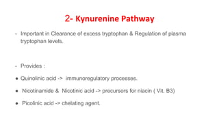 2- Kynurenine Pathway
- Important in Clearance of excess tryptophan & Regulation of plasma
tryptophan levels.
- Provides :
● Quinolinic acid -> immunoregulatory processes.
● Nicotinamide & Nicotinic acid -> precursors for niacin ( Vit. B3)
● Picolinic acid -> chelating agent.
 