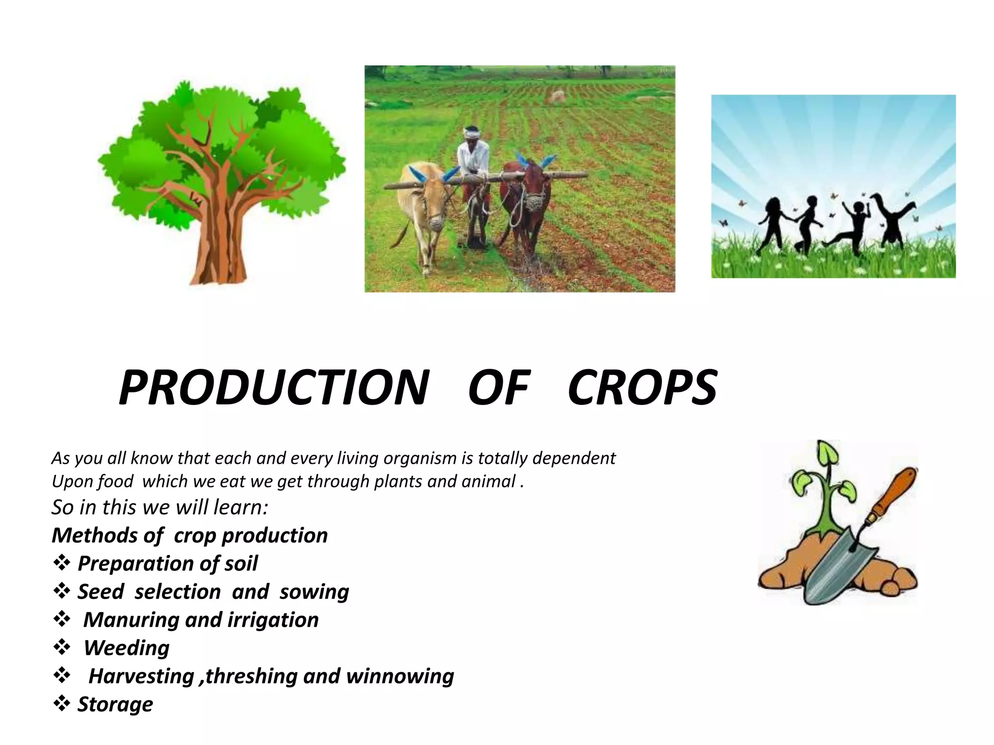 PRODUCTION OF CROPS
As you all know that each and every living organism is totally dependent
Upon food which we eat we get through plants and animal .
So in this we will learn:
Methods of crop production
 Preparation of soil
 Seed selection and sowing
 Manuring and irrigation
 Weeding
 Harvesting ,threshing and winnowing
 Storage
 