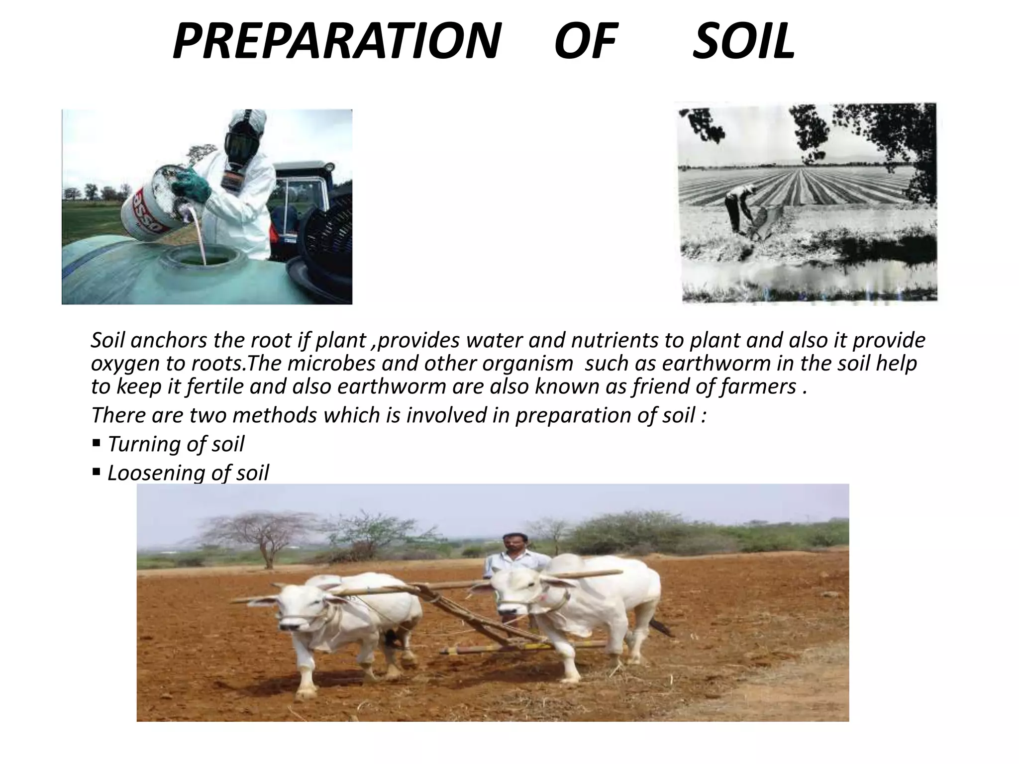 PREPARATION OF SOIL
Soil anchors the root if plant ,provides water and nutrients to plant and also it provide
oxygen to roots.The microbes and other organism such as earthworm in the soil help
to keep it fertile and also earthworm are also known as friend of farmers .
There are two methods which is involved in preparation of soil :
 Turning of soil
 Loosening of soil
 