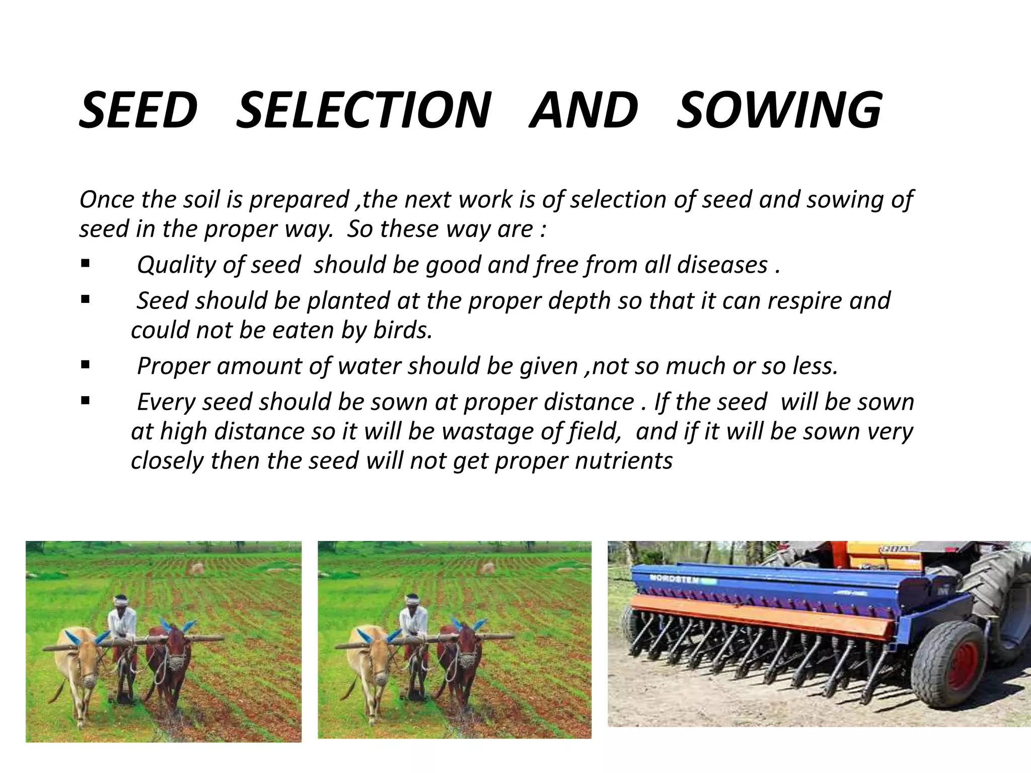 SEED SELECTION AND SOWING
Once the soil is prepared ,the next work is of selection of seed and sowing of
seed in the proper way. So these way are :
 Quality of seed should be good and free from all diseases .
 Seed should be planted at the proper depth so that it can respire and
could not be eaten by birds.
 Proper amount of water should be given ,not so much or so less.
 Every seed should be sown at proper distance . If the seed will be sown
at high distance so it will be wastage of field, and if it will be sown very
closely then the seed will not get proper nutrients
 