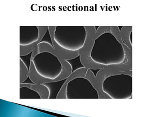 Cross sectional view
 