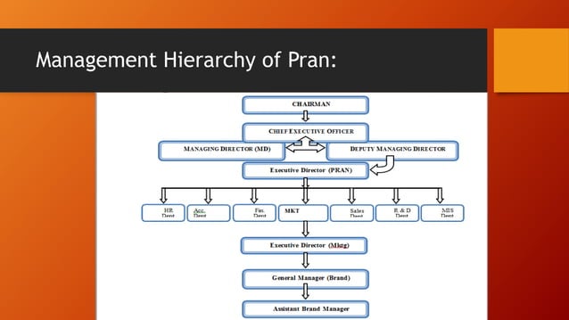 CSR practise of Pran-RFL Group | PPTX | Food Industry | Industries