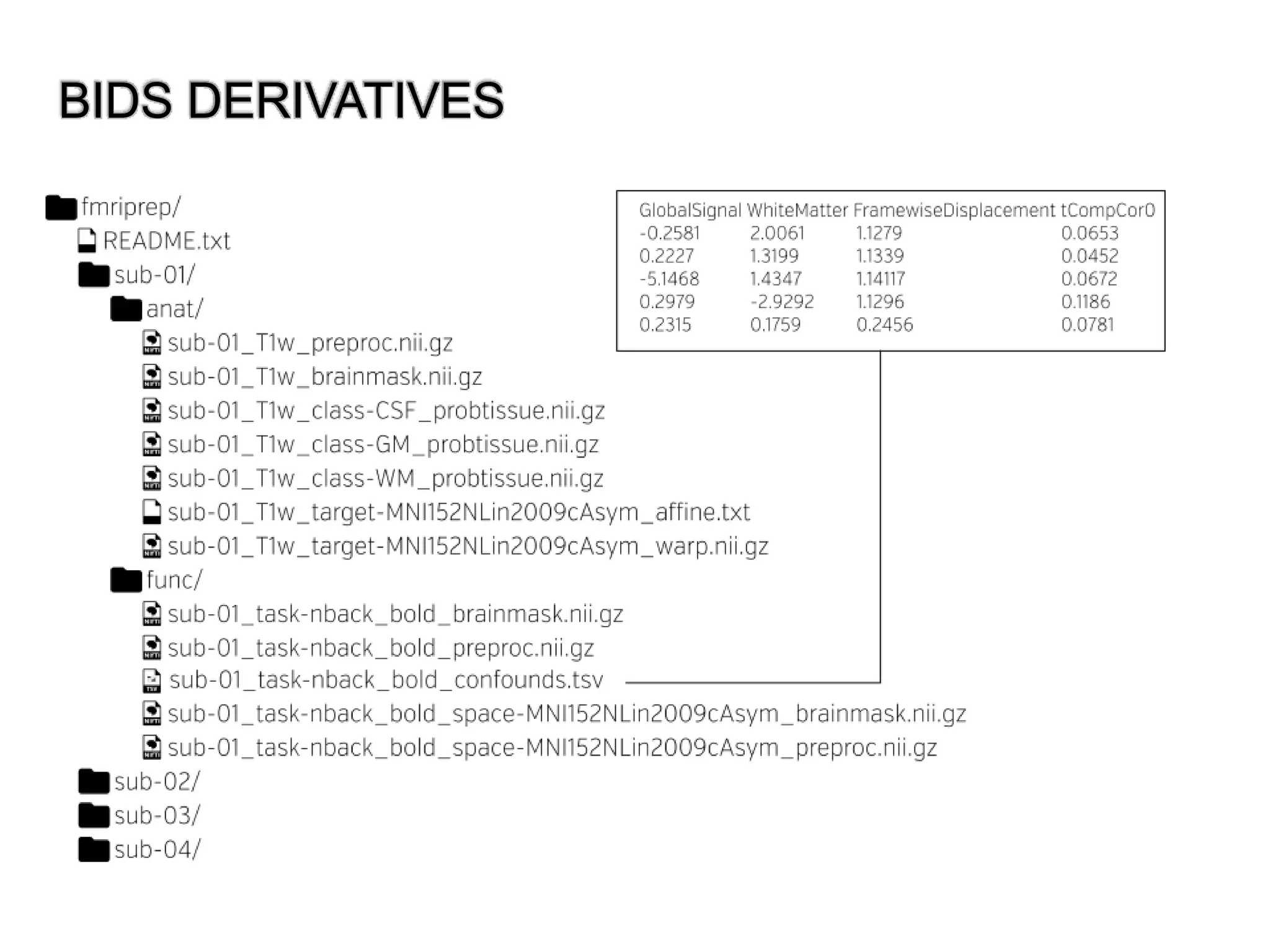 BIDS DERIVATIVES
 