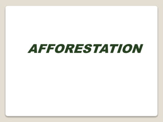AFFORESTATION
 