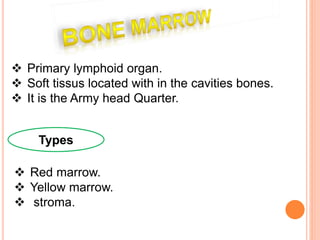  Primary lymphoid organ.
 Soft tissus located with in the cavities bones.
 It is the Army head Quarter.
 Red marrow.
 Yellow marrow.
 stroma.
Types
 